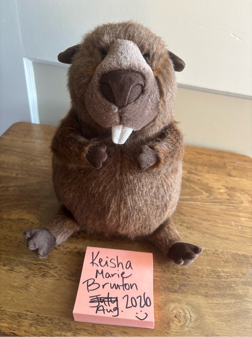 Jellycat Brown Plush Beaver Accent Buddy
